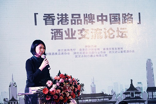 驻武汉办主任在交流论坛致辞。