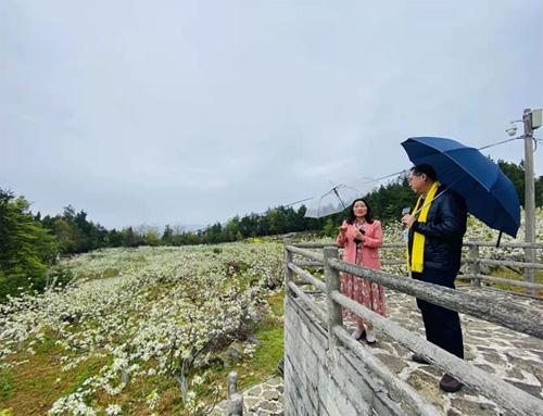 驻武汉办主任郭伟勋(右)考察椒园镇黄坪村扶贫项目
