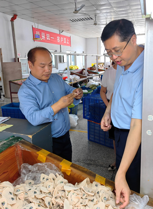 驻武汉办郭主任 (右)到驻马店市上蔡县一所港资的玩具工厂参观。