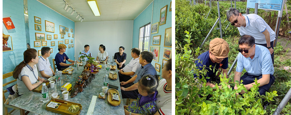驻武汉办郭主任到驻马店市上蔡县一家港资中药种植场考察，并与已定居于当地的港人交流。