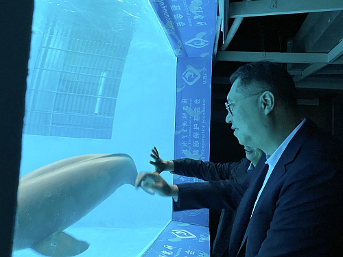 驻武汉办主任郭伟勋参观白鱀豚馆