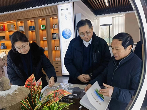 照片二：駐武漢辦主任考察蘄春產業促進中心