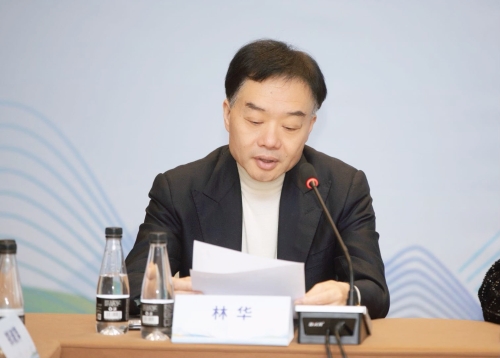 照片四： 湖北省香港商會會長林華致辭