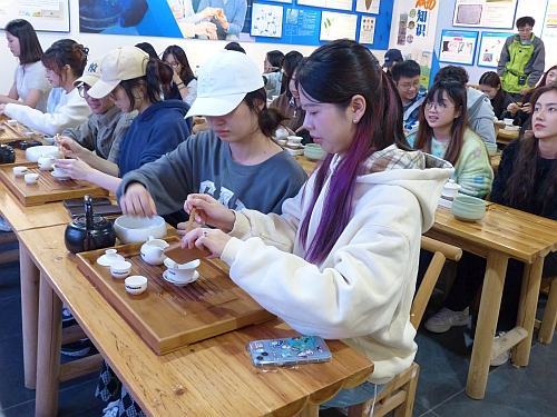 体验冲泡盖碗茶